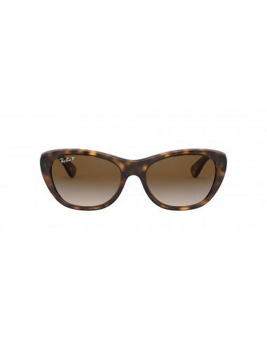 Ray-Ban 4227 Sunglasses pas chere