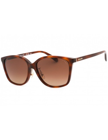 Coach 0HC8361F Sunglasses de pas cher