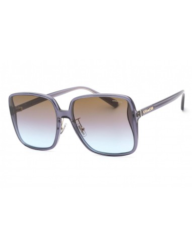 Coach 0HC8368D Sunglasses la livraison gratuite